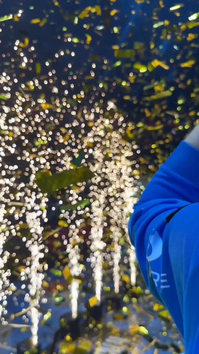 Kurzer Rückblick auf die erste Saison als Mannschaftsarzt des THW Kiel👨🏼‍⚕️: 
Sieg oder Niederlage lagen oft nah beieinander, super Team, Highlight: DHB-Pokalsieger 🏆😁. Jetzt in die wohlverdiente Pause, um mit Vollgas in die kommende Saison zu starten! 🥳🤾🏼‍♂️💨

#thwkiel #thwhandball #maremed #emilfreyküstengarage #pokalsieger #dhb #dhbpokal #mannschaftsarzt #edubily #allefüreinen #sportmedizin #sportkardiologie #herzgesundheit #handball #leistungsdiagnostik #sportcheckup